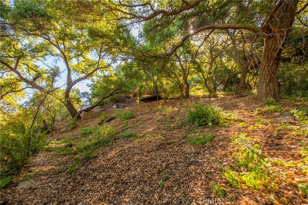 7210 Santa Susana Pass Road Simi Valley, CA 93063 - Photo 18 of 32