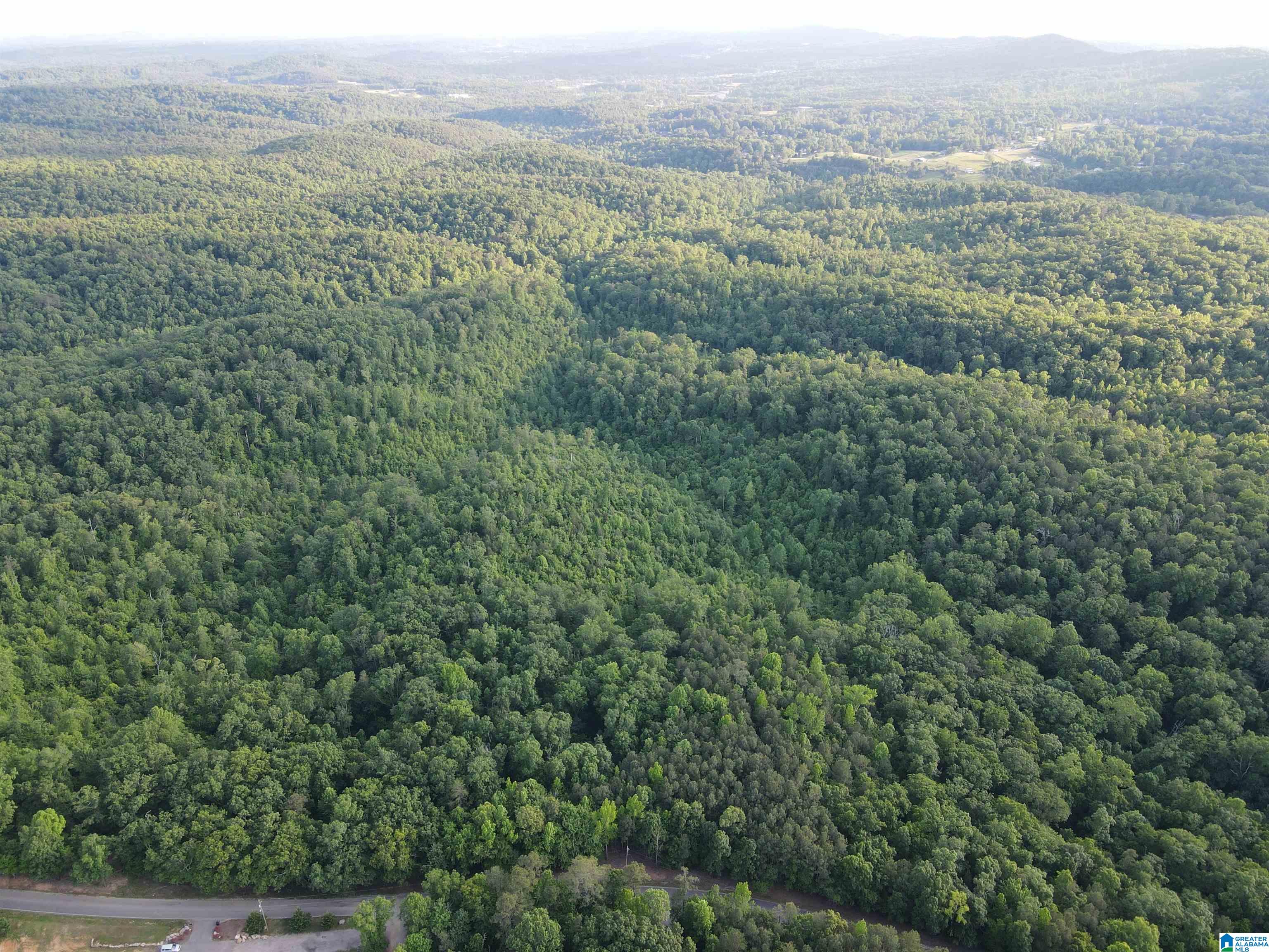1 Goodner Mountain Road, Unit 1 Pinson, AL 35126 - Photo 13 of 19