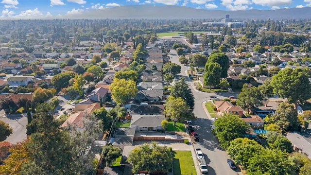 a view of a backyard with table and chairs potted plants and a large tree