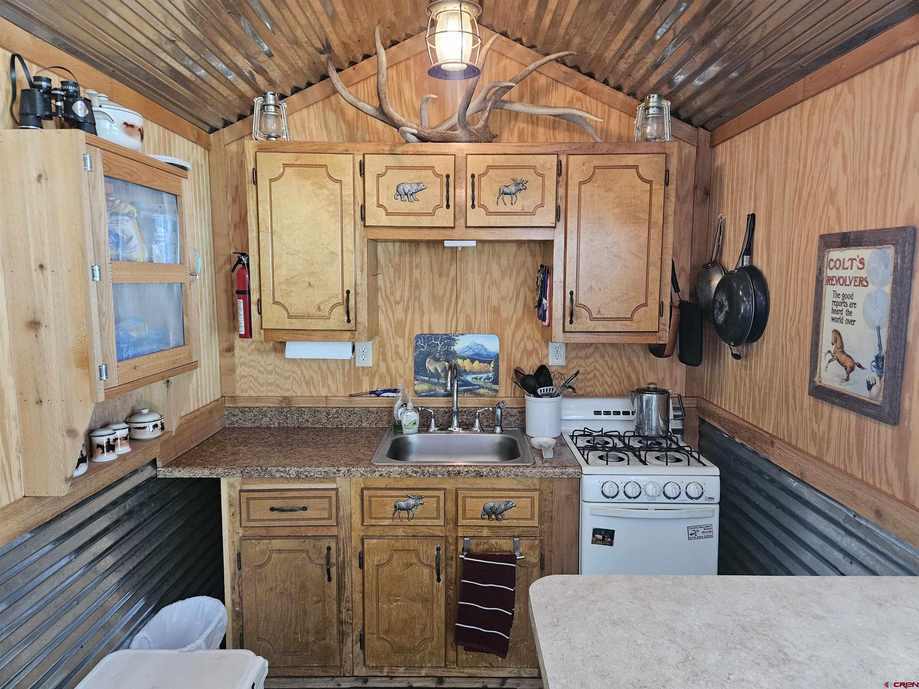 53 Crooked Road Pagosa Springs, CO 81147 - Photo 4 of 14