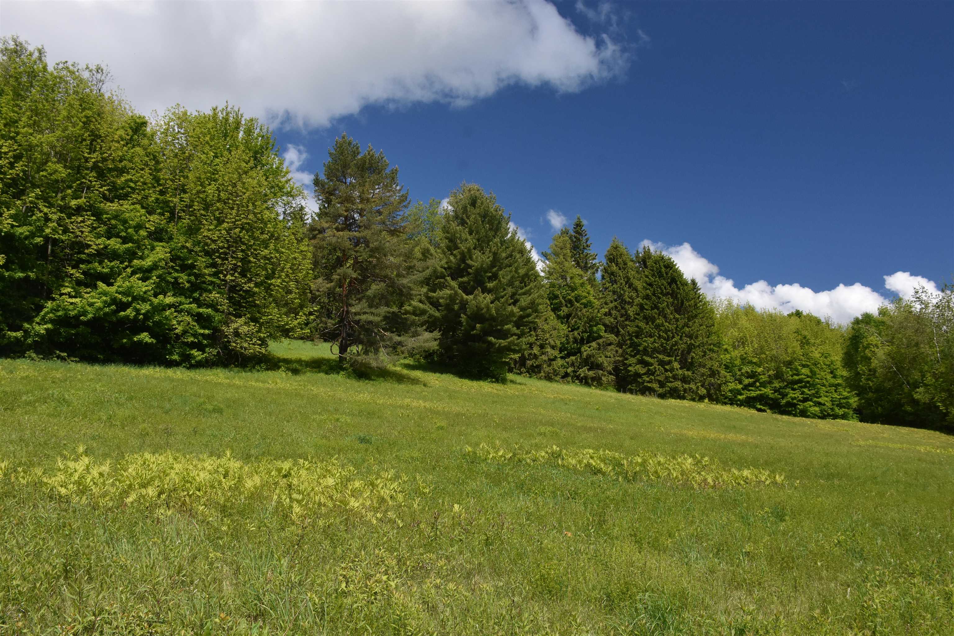 1574 Weir Road Williamstown, VT 05679 - Photo 41 of 60
