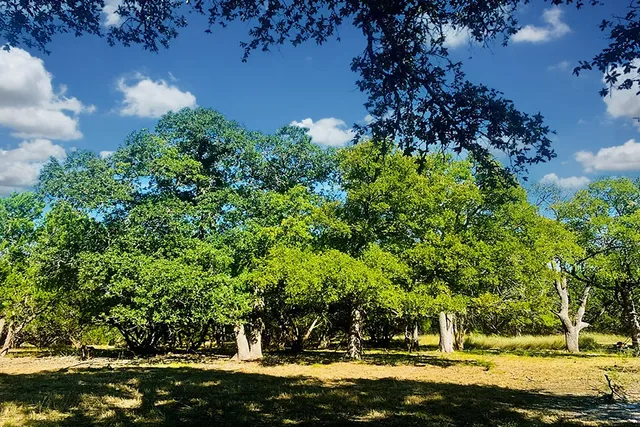 $164,999 | 118 South Vaquero Drive, Unit 31, Blanco, TX 78606