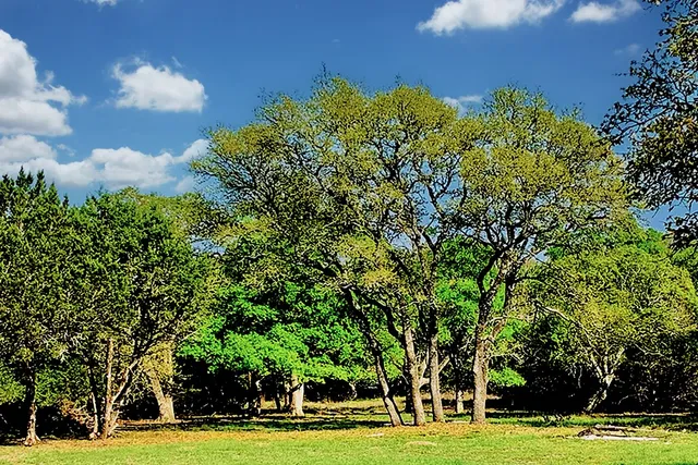 $164,999 | 118 South Vaquero Drive, Unit 31, Blanco, TX 78606