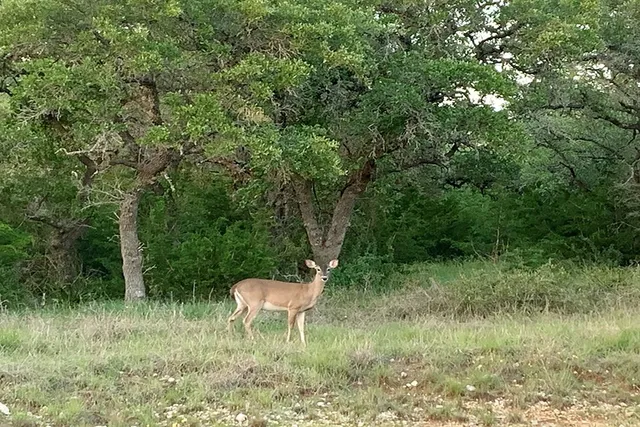 $164,999 | 118 South Vaquero Drive, Unit 31, Blanco, TX 78606