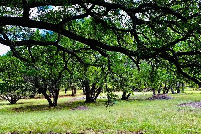 $164,999 | 118 South Vaquero Drive, Unit 31, Blanco, TX 78606