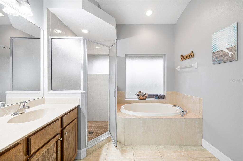 7467 Terrace River Drive Temple Terrace, FL 33637 - Photo 23 of 46 a bathroom with a tub a sink a mirror and a shower