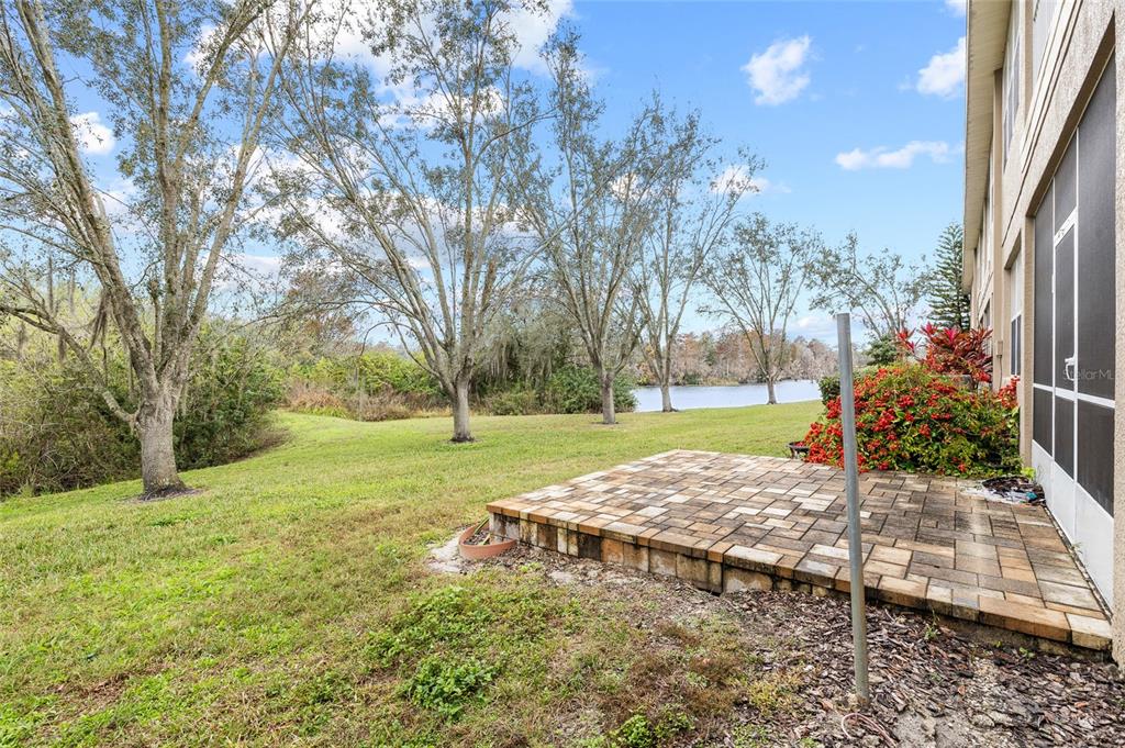 7467 Terrace River Drive Temple Terrace, FL 33637 - Photo 34 of 46 a view of a park with large trees