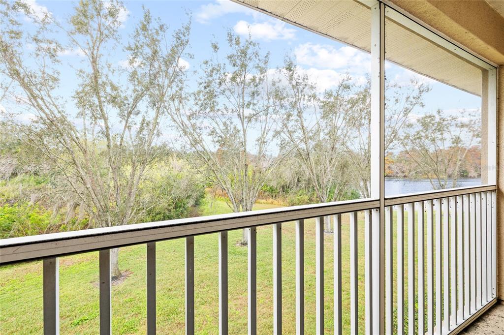 7467 Terrace River Drive Temple Terrace, FL 33637 - Photo 38 of 46 a view of a balcony with mountain view