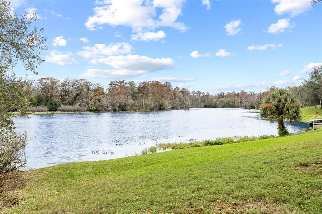 7467 Terrace River Drive Temple Terrace, FL 33637 - Photo 42 of 46 a view of a lake from a yard