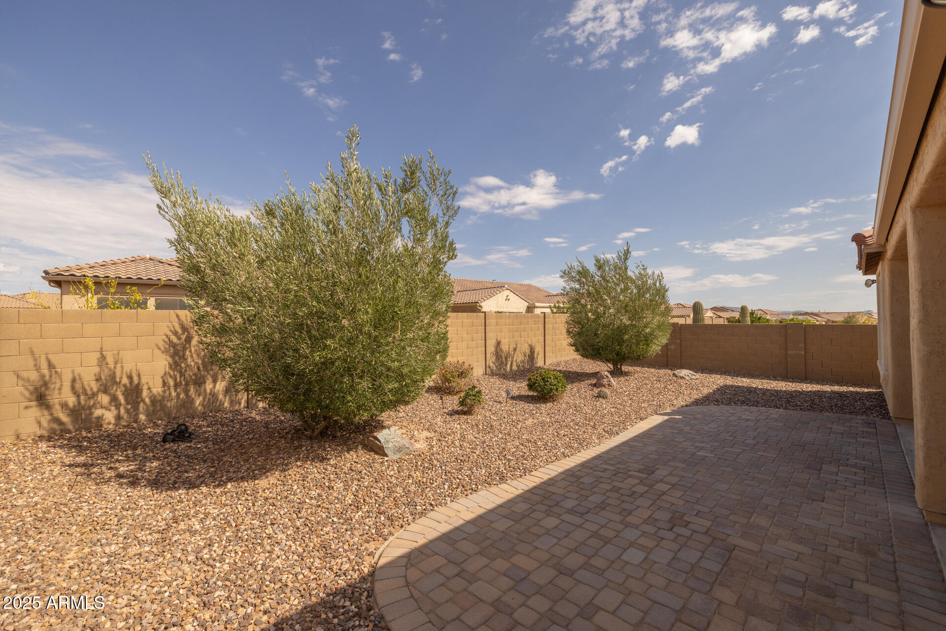 8160 West Cinder Brook Way Florence, AZ 85132 - Photo 36 of 81 a view of a backyard of a house