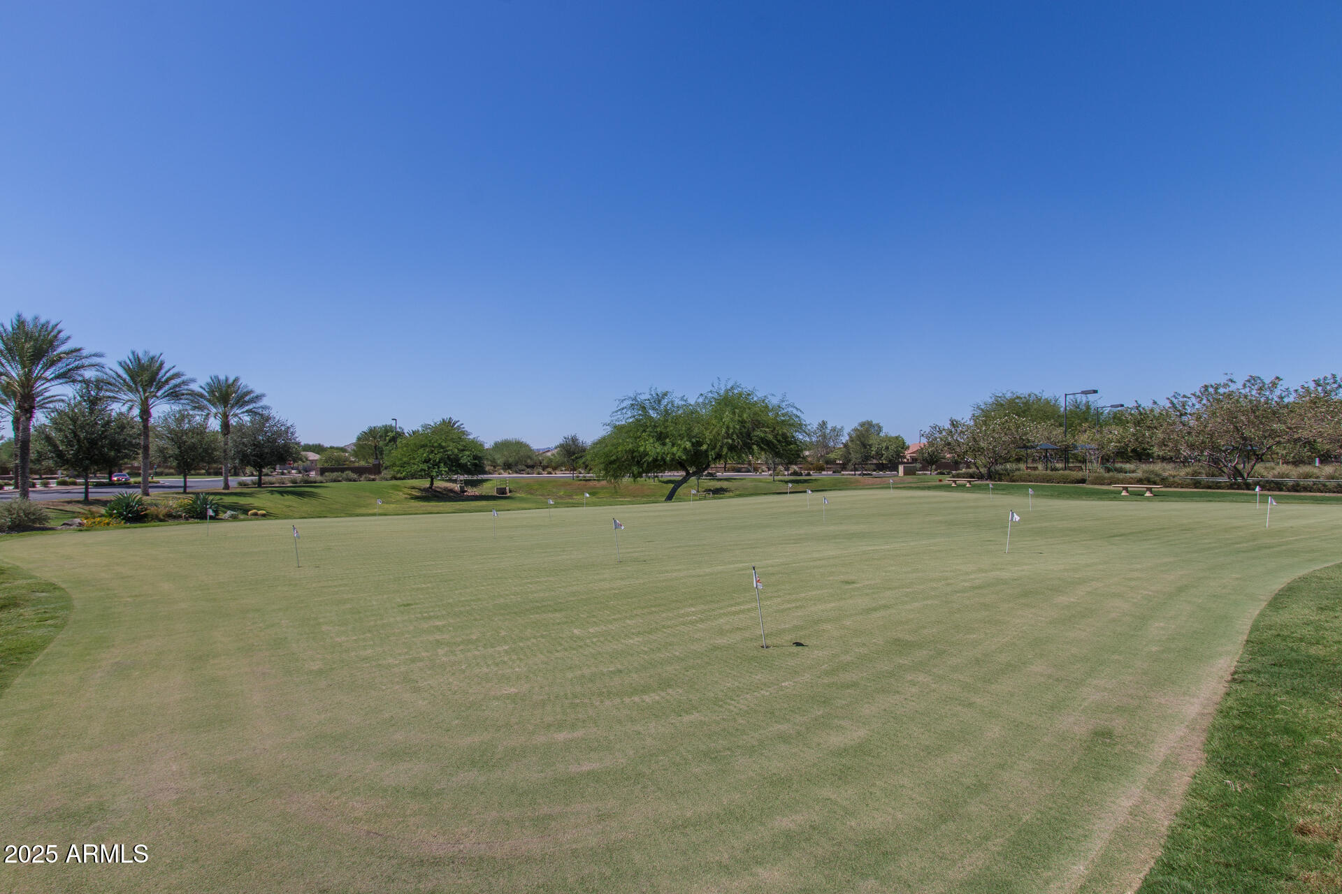 8160 West Cinder Brook Way Florence, AZ 85132 - Photo 45 of 81 a view of a lake view