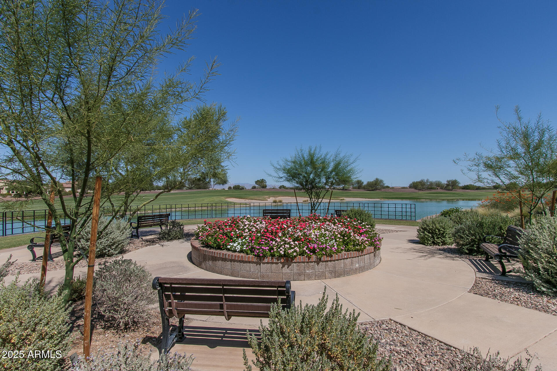 8160 West Cinder Brook Way Florence, AZ 85132 - Photo 76 of 81 a view of a garden with flowers and trees
