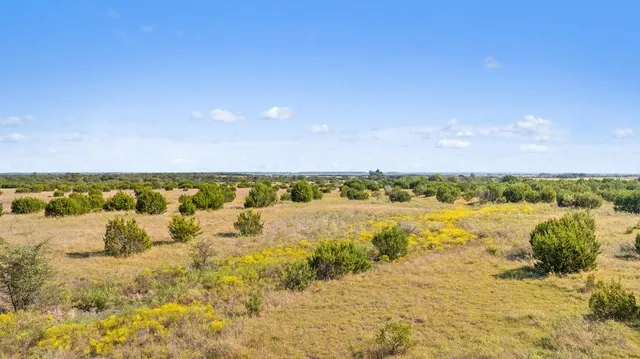 a view of an ocean beach