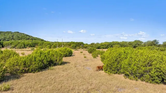 a view of a lake with a mountain in the background