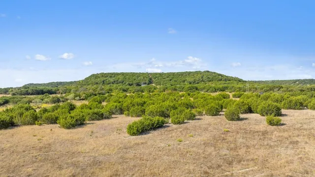 a view of a field with an ocean