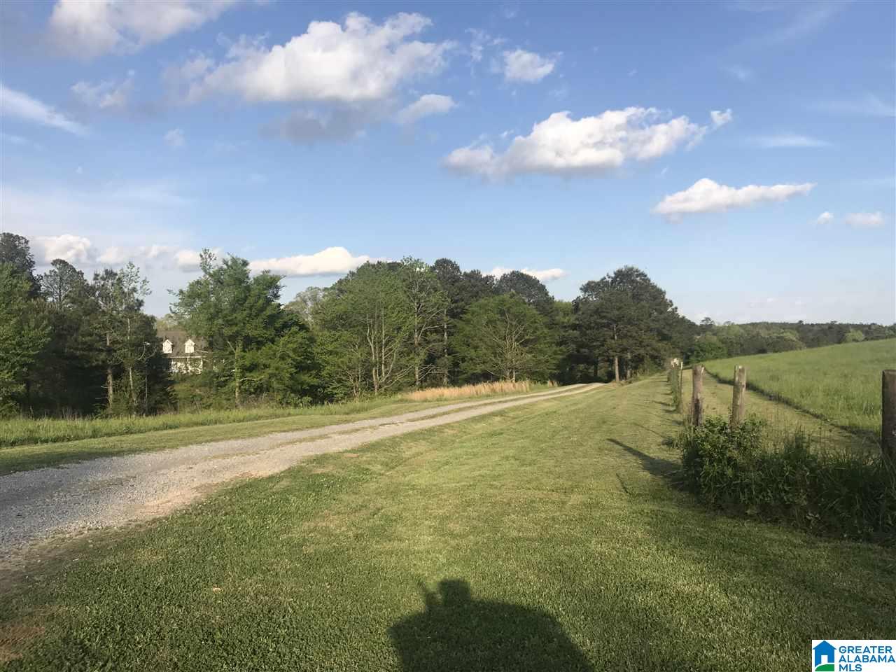 626 Smith Road Oneonta, AL 35121 - Photo 44 of 47
