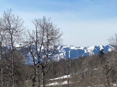 2604 South Forest Meadow Road, Unit C82 Coalville, UT 84017 - Photo 23 of 27 View of mountain background