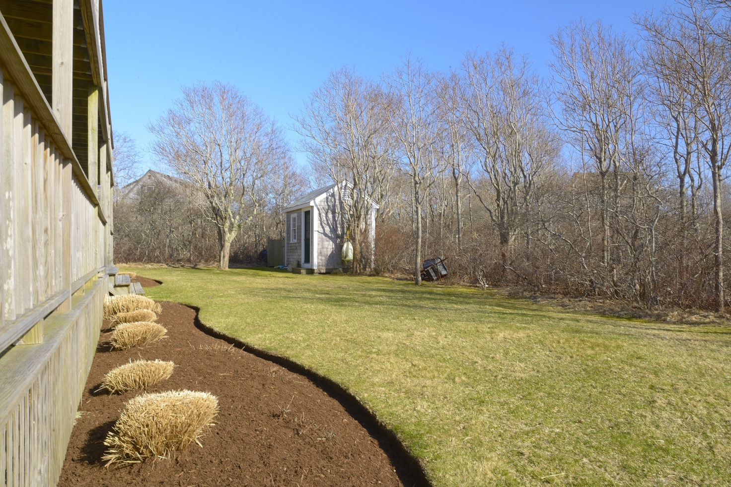 51 Tom Nevers Road Nantucket, MA 02554 - Photo 23 of 23 Back Yard