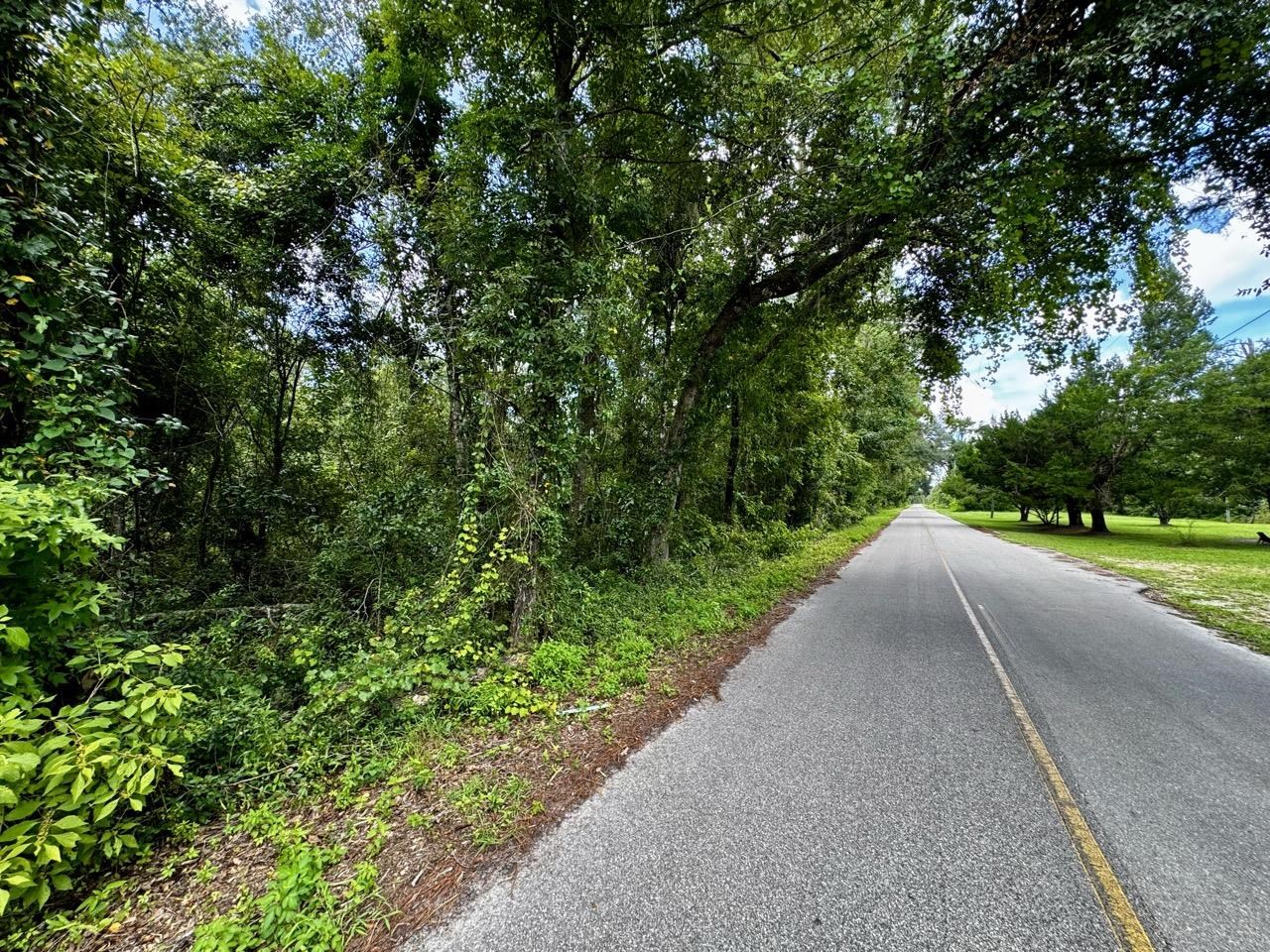 Vacant Luther Wilson Road Greenville, FL 32331 - Photo 31 of 40
