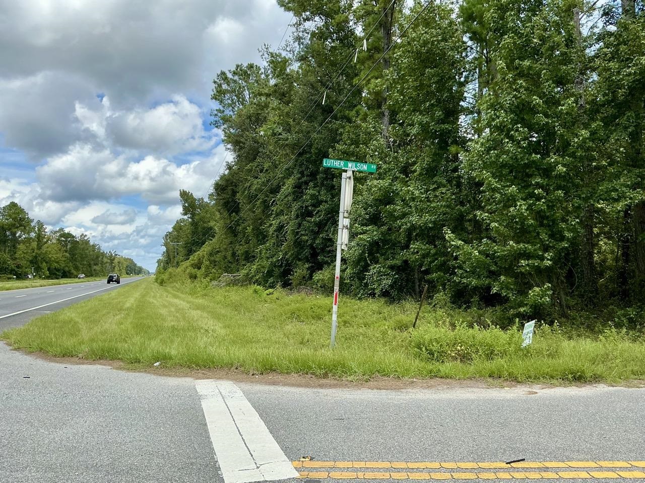 Vacant Luther Wilson Road Greenville, FL 32331 - Photo 33 of 40