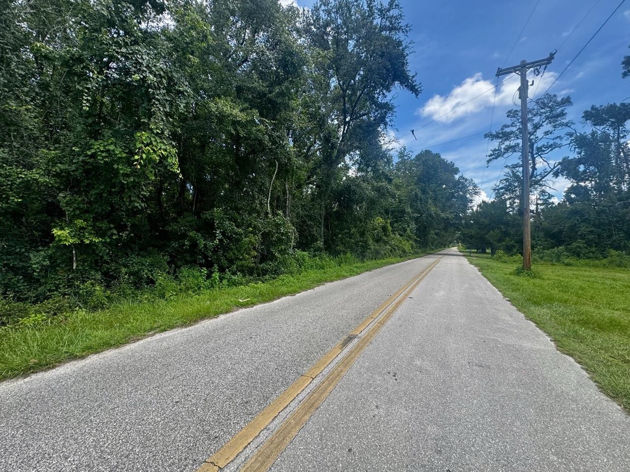 Vacant Luther Wilson Road Greenville, FL 32331 - Photo 35 of 40