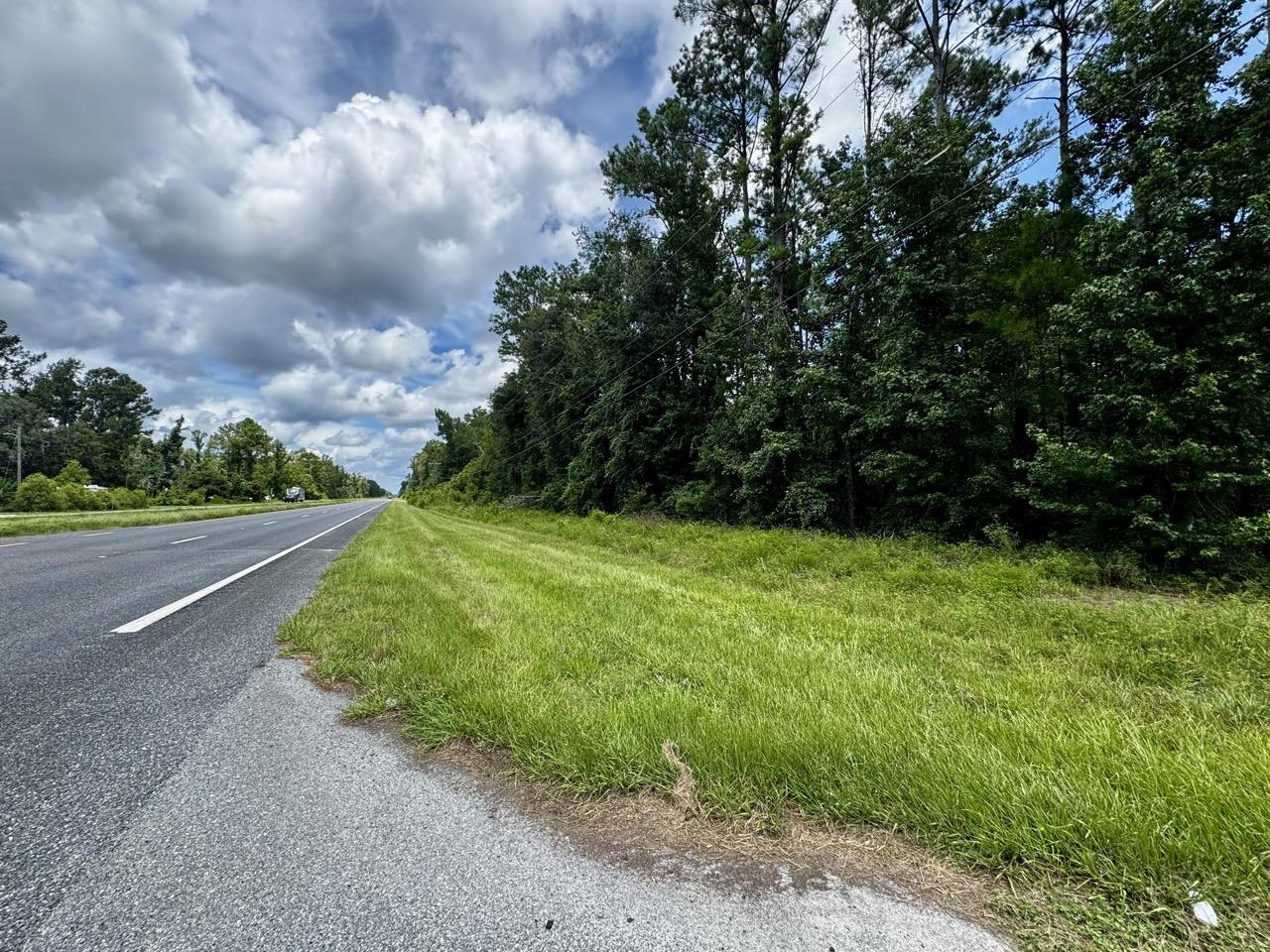 Vacant Luther Wilson Road Greenville, FL 32331 - Photo 36 of 40