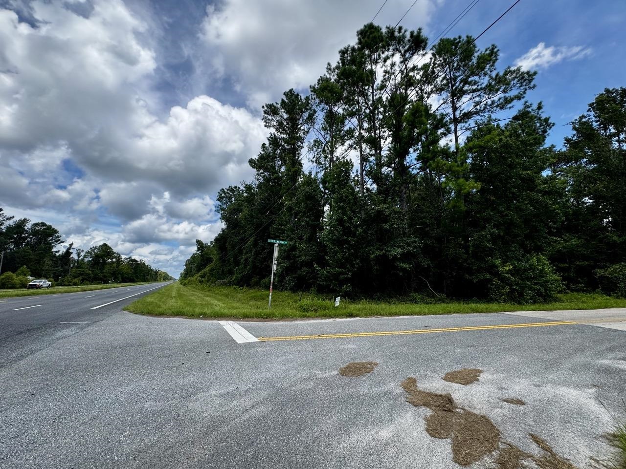 Vacant Luther Wilson Road Greenville, FL 32331 - Photo 37 of 40