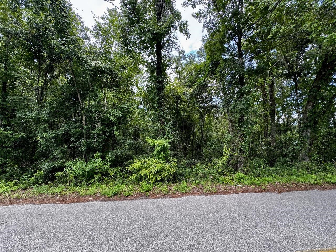 Vacant Luther Wilson Road Greenville, FL 32331 - Photo 8 of 40