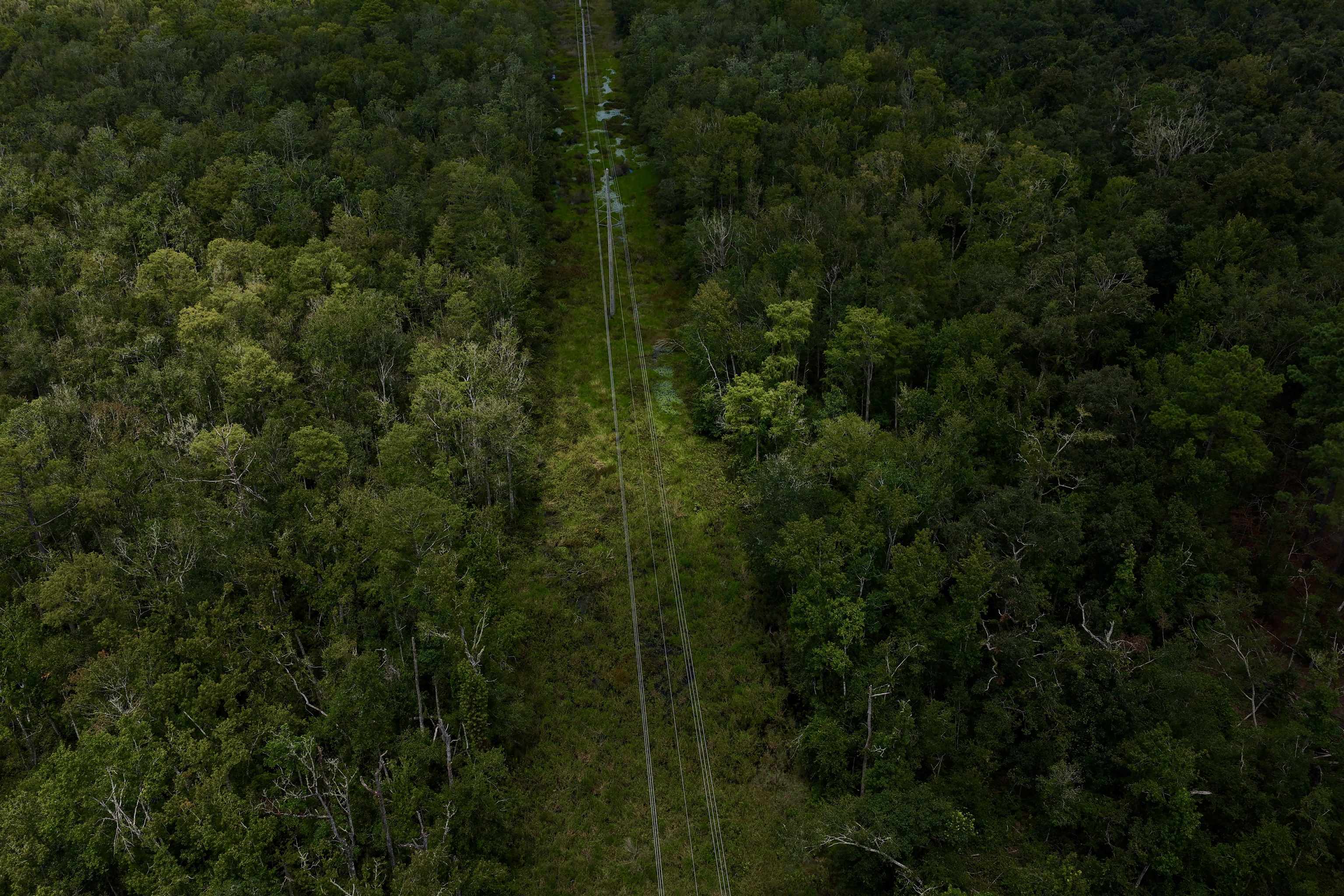 Vacant Luther Wilson Road Greenville, FL 32331 - Photo 10 of 40