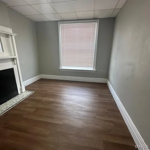 $1,000 | 3200 Mt Pleasant Street, Unit 2F, St. Louis, MO 63111