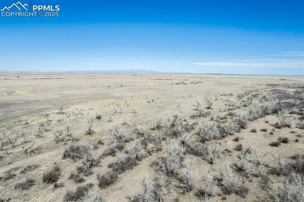 a view of beach with ocean