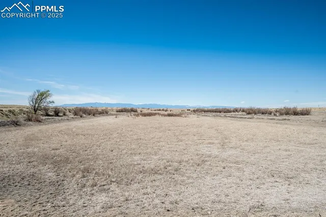 a view of beach and ocean