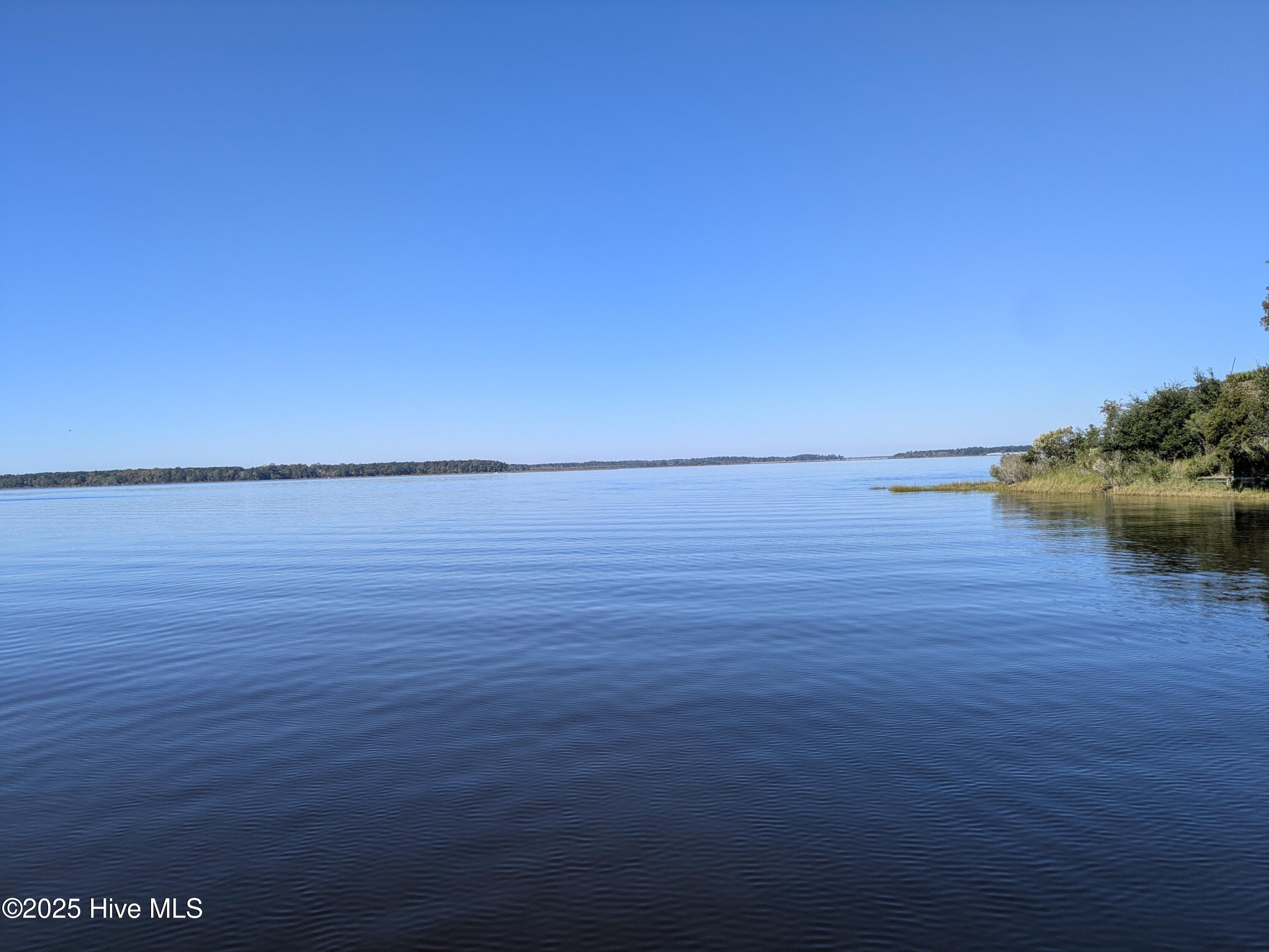 157 White Oak Bluff Road Stella, NC 28582 - Photo 46 of 61 View from community dock