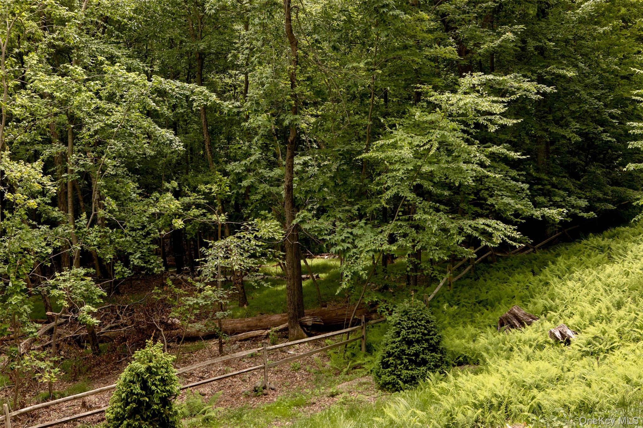 49 Sky Top Road Copake, NY 12516 - Photo 2 of 40