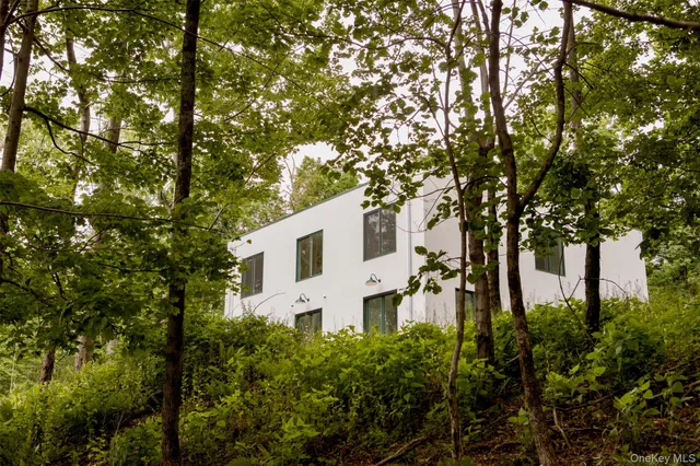 a view of a bunch of trees