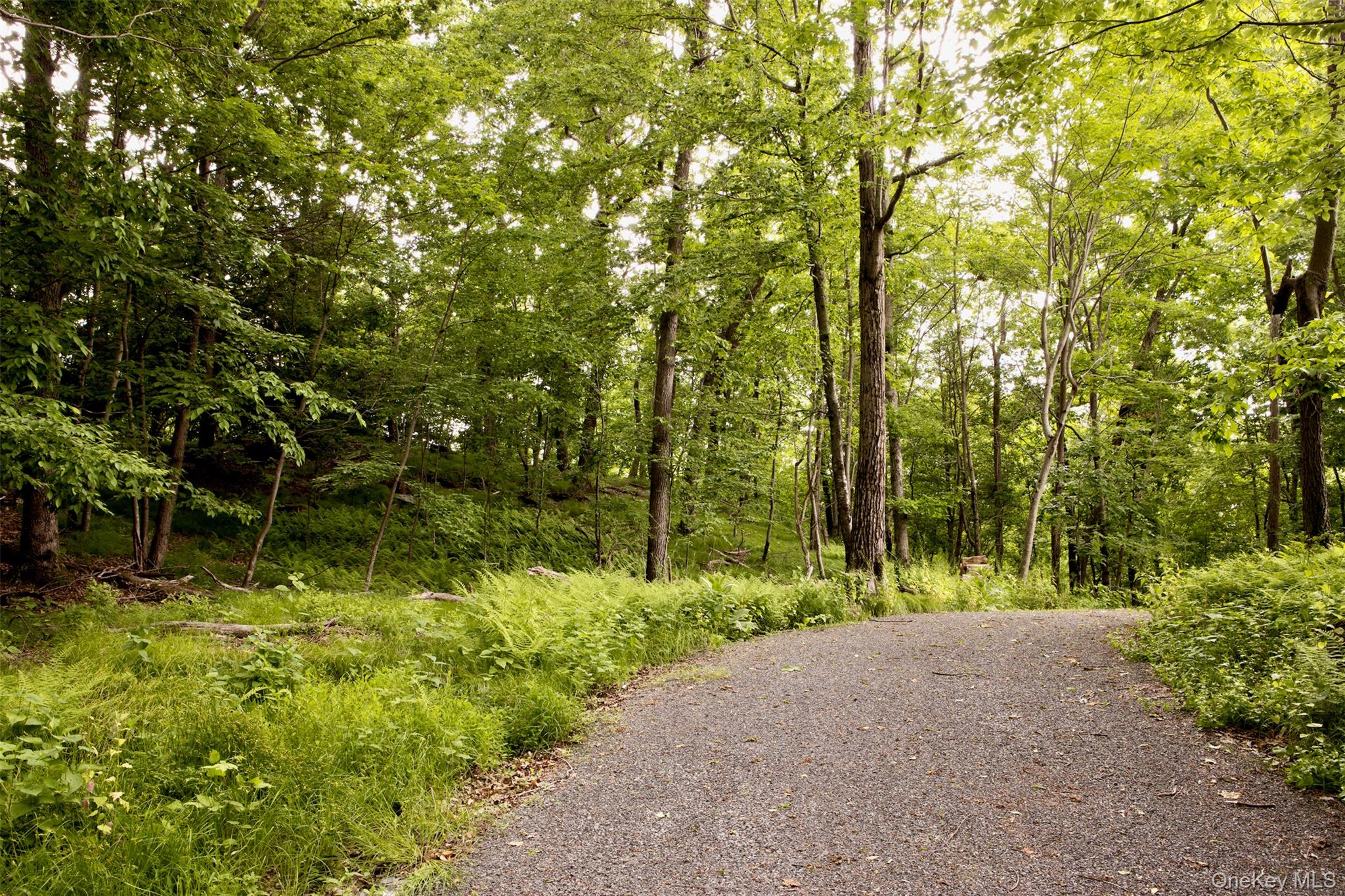 49 Sky Top Road Copake, NY 12516 - Photo 40 of 40 a view of outdoor space and garden