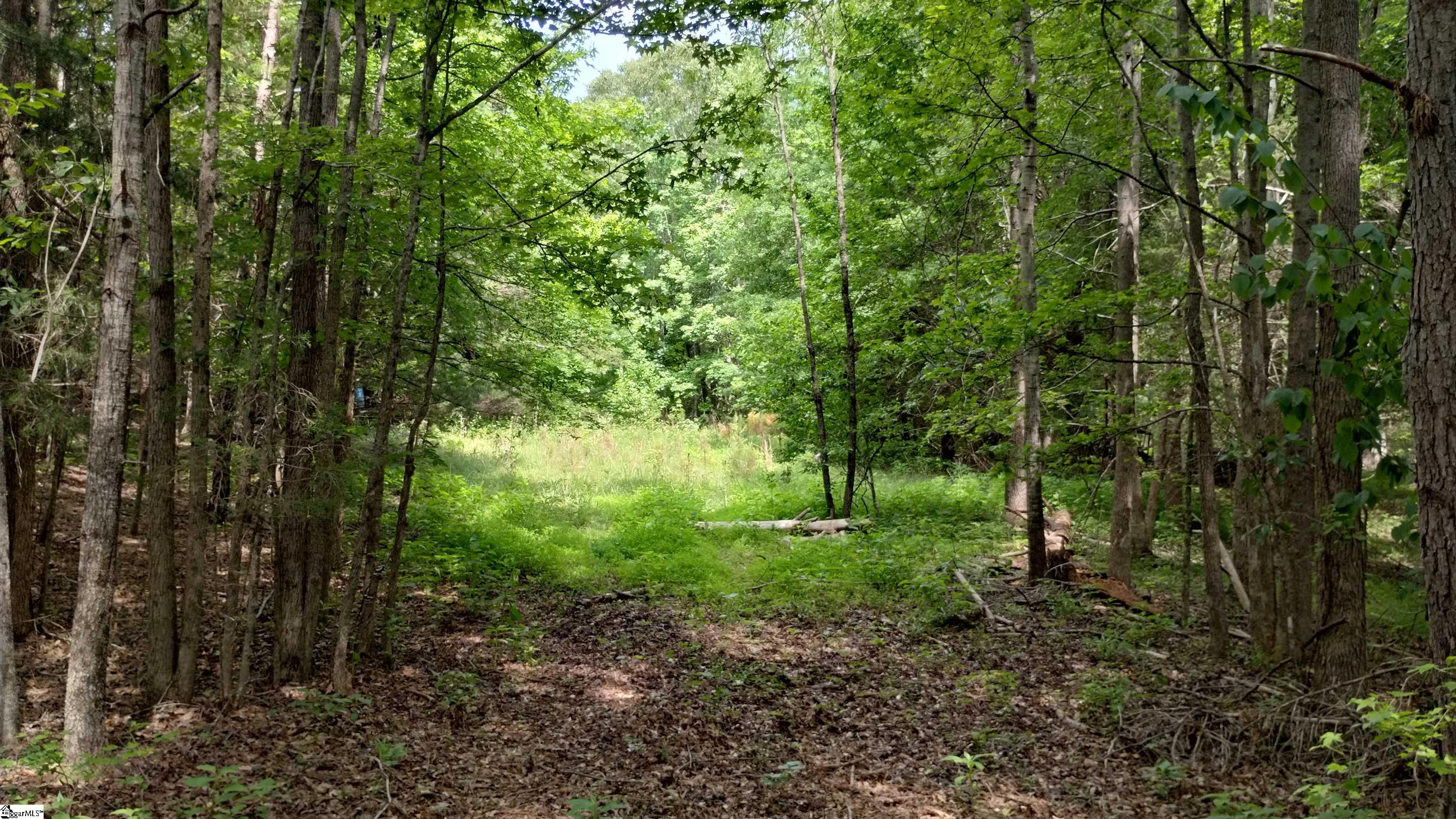 0 Fort Lindley Road Laurens, SC 29360 - Photo 12 of 18