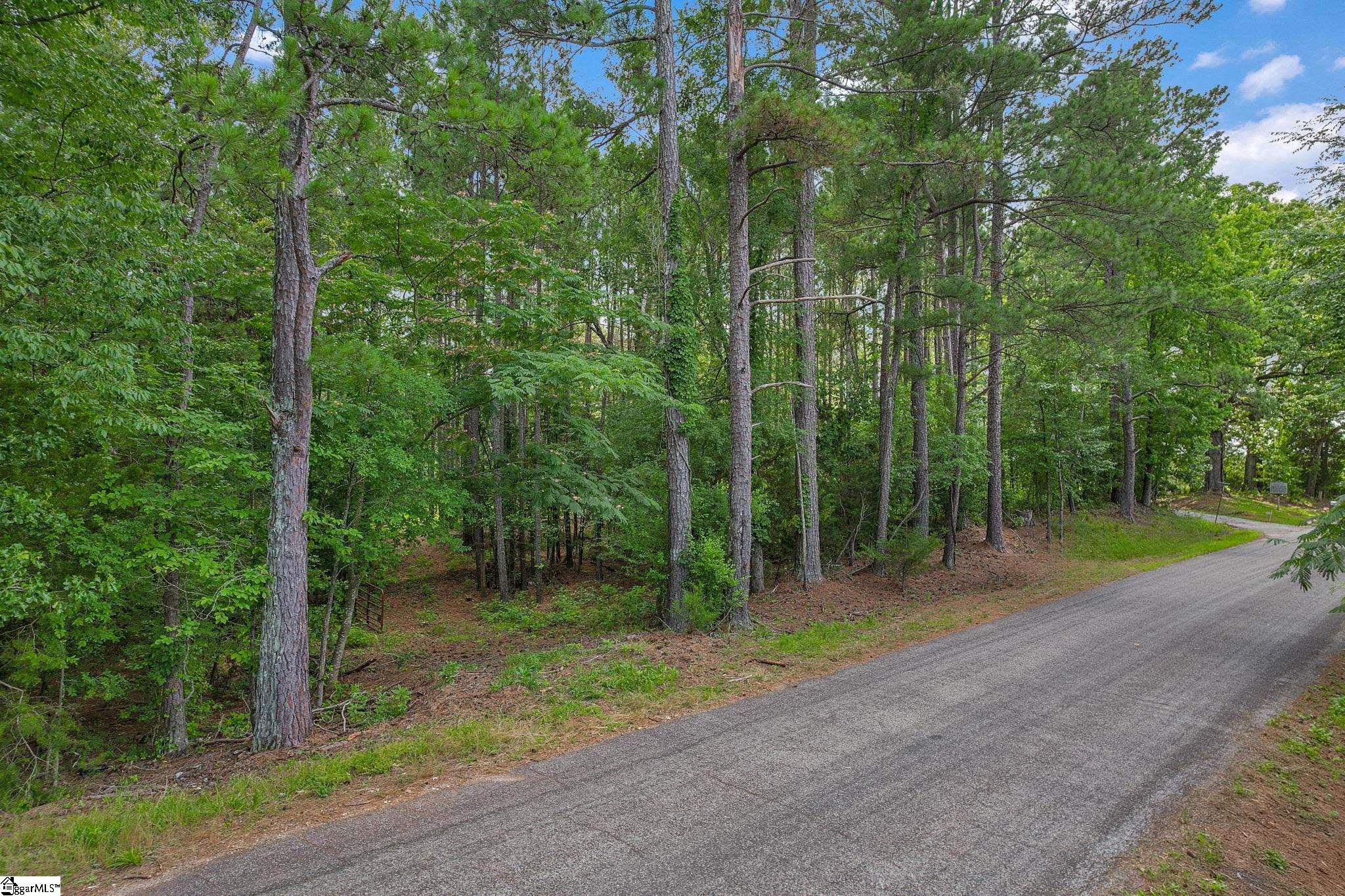 0 Fort Lindley Road Laurens, SC 29360 - Photo 3 of 18