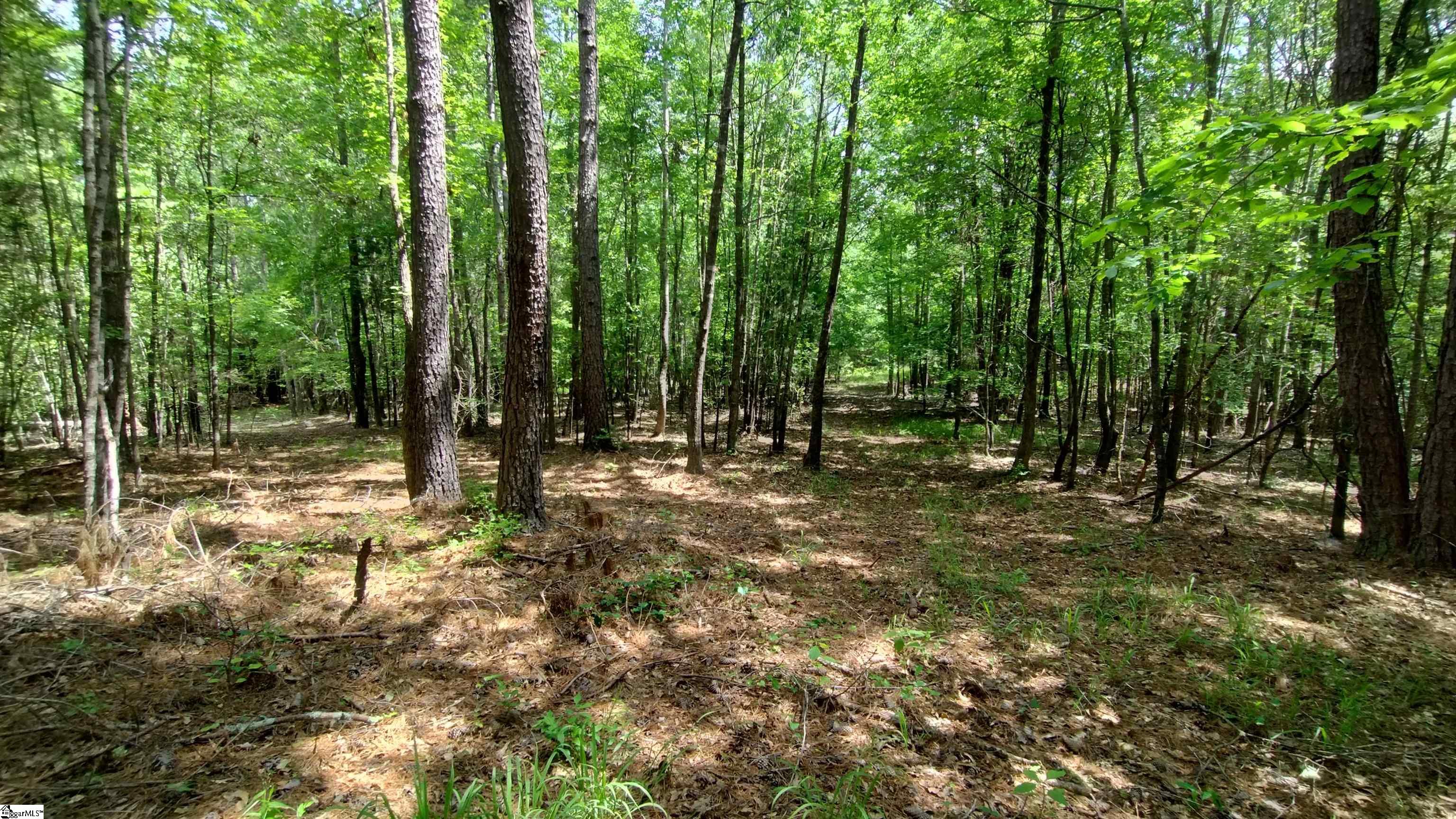 0 Fort Lindley Road Laurens, SC 29360 - Photo 8 of 18