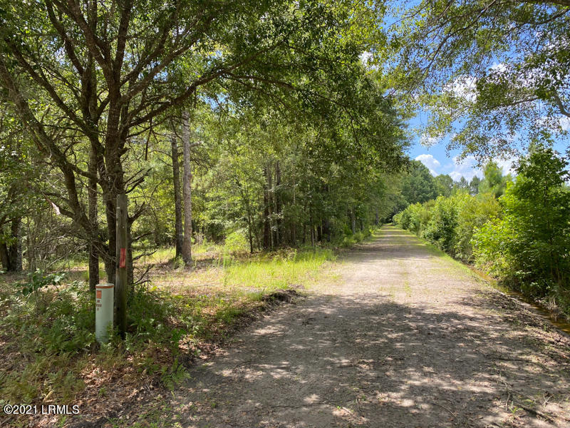 300 Woodsville Road Pineland, SC 29934 - Photo 4 of 27 04