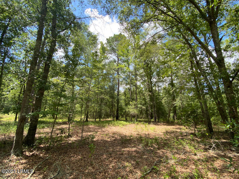 300 Woodsville Road Pineland, SC 29934 - Photo 8 of 27 08