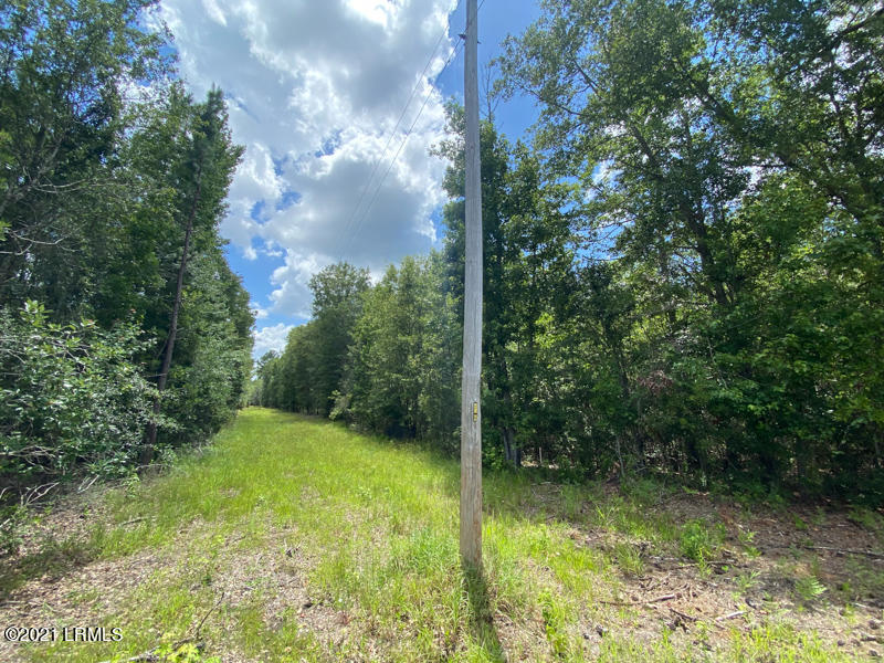 300 Woodsville Road Pineland, SC 29934 - Photo 10 of 27 IMG_9593