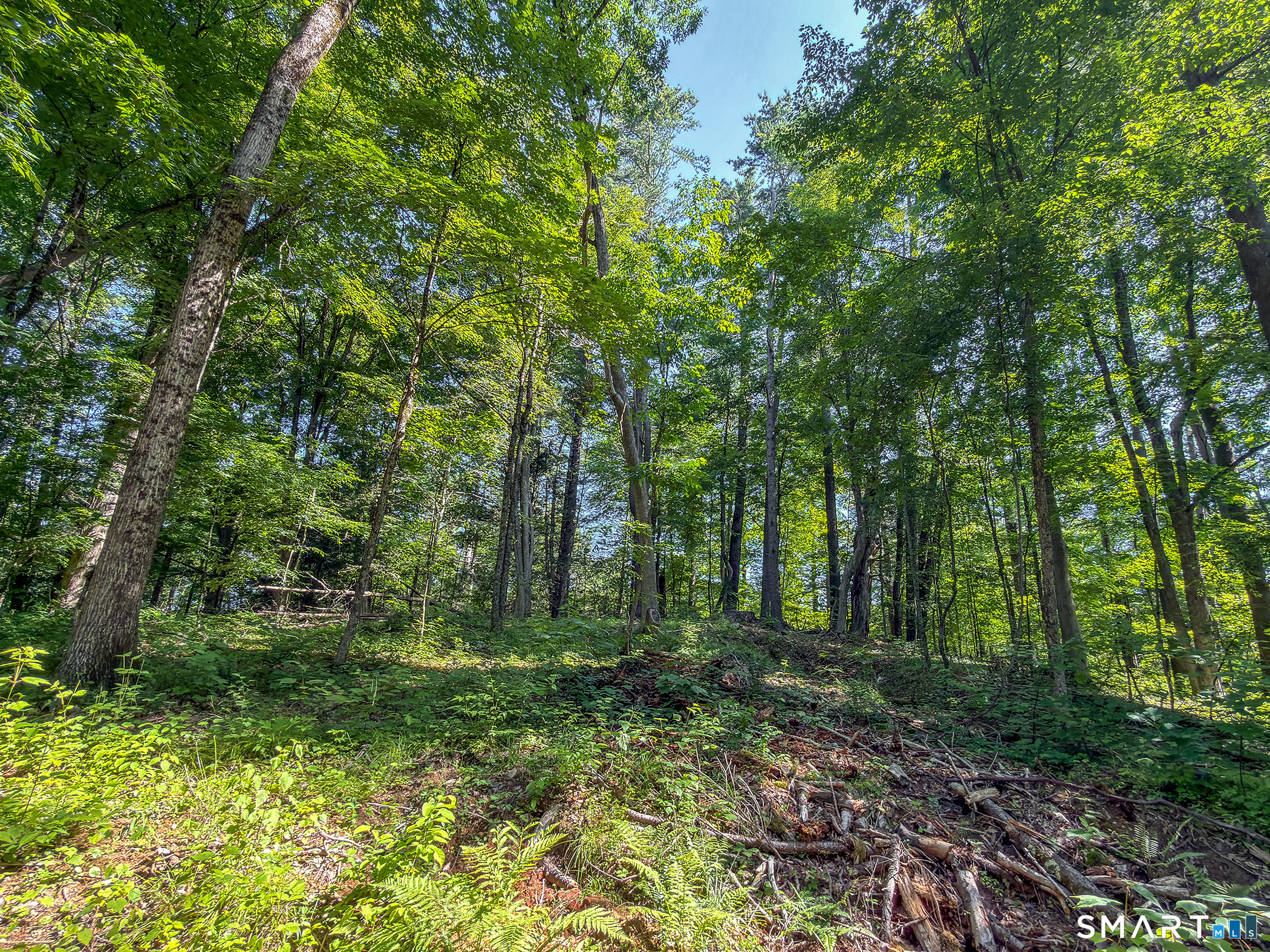 0 Great Hollow Road West Cornwall, CT 06796 - Photo 16 of 20 Gallery Image 16