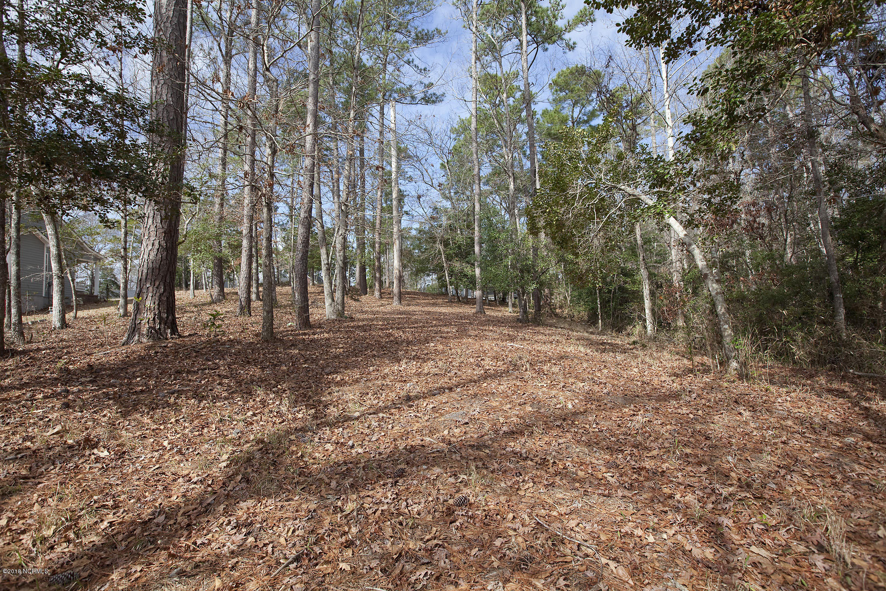 646 Ravenswood Road Hampstead, NC 28443 - Photo 4 of 5 ravenswood 646 lot bev_3491