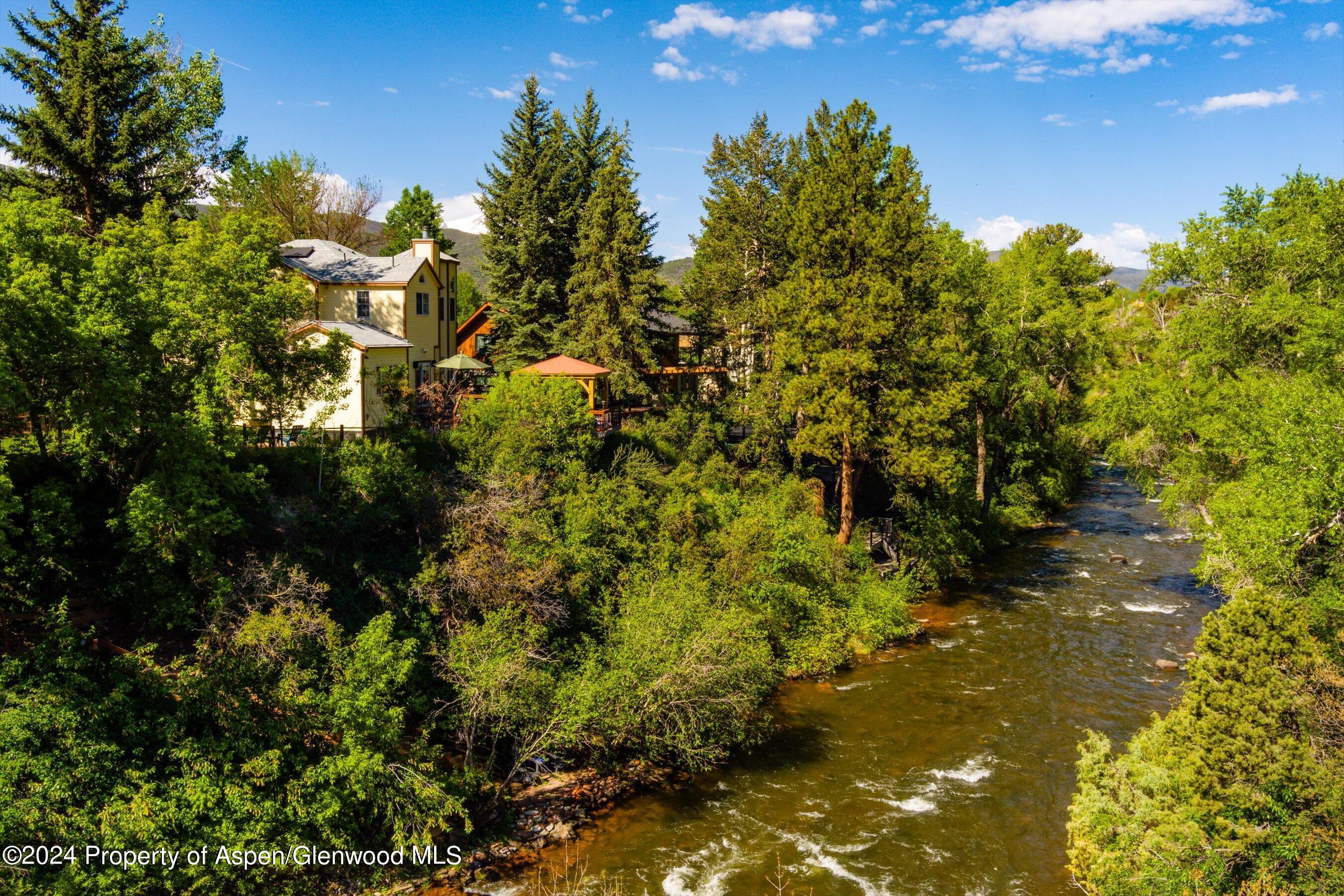 350 Riverside Drive Basalt, CO 81621 - Photo 33 of 46 a view of a large yard with lots of trees