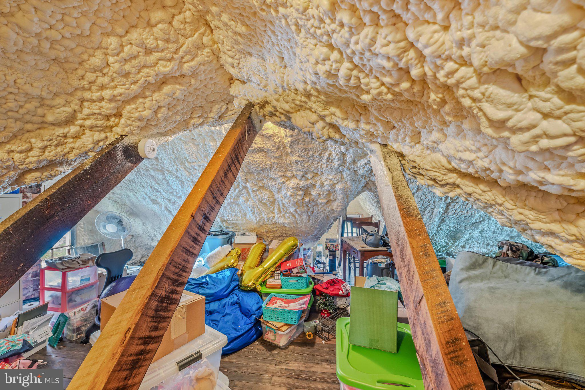 719 South Raleigh Street Martinsburg, WV 25401 - Photo 35 of 45 Attic