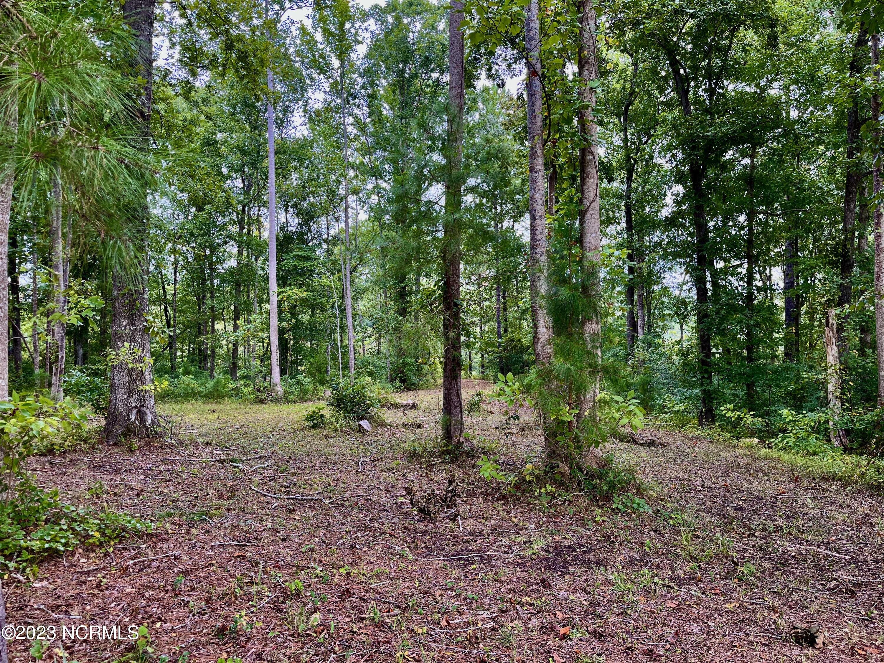 158 Fisher Turnpike Road Arapahoe, NC 28510 - Photo 7 of 27 Lot