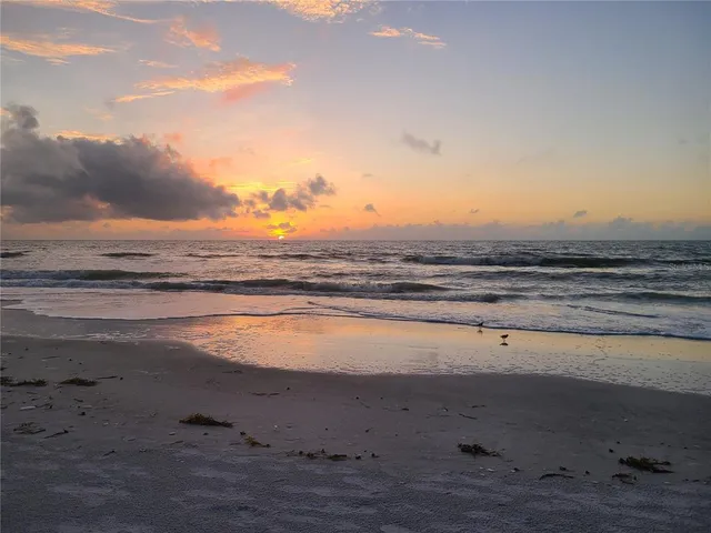 a view of an ocean with a palm tree and ocean view