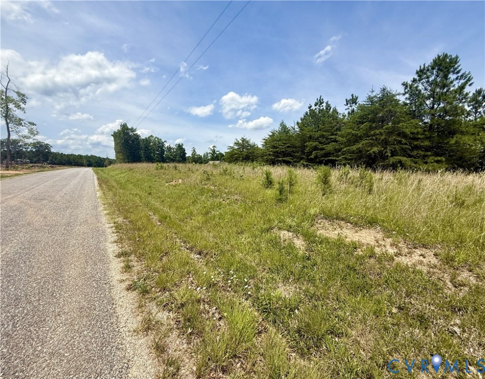 Lot 25 Whispering Wood Road Meherrin, VA 23954 - Photo 3 of 13