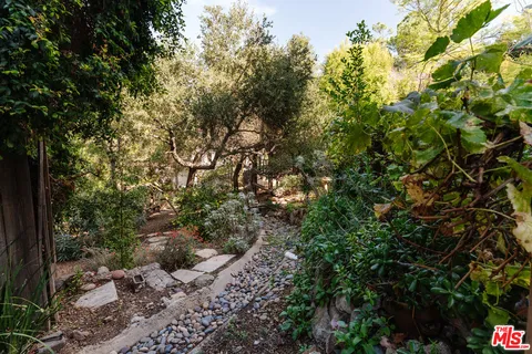 a outdoor space with lots of bushes